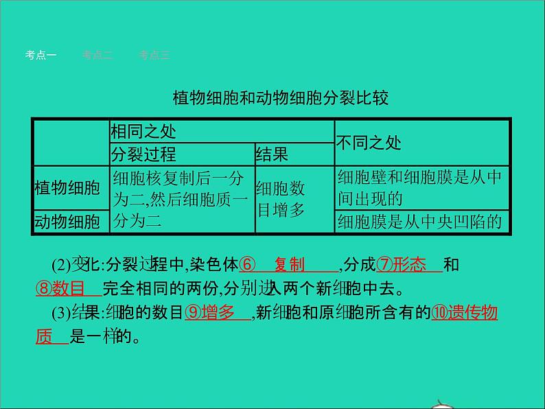 初中生物中考复习 中考生物总复习第四讲细胞怎样构成生物体课件03