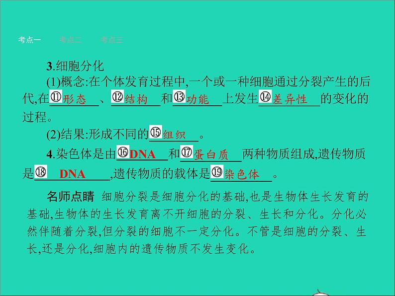 初中生物中考复习 中考生物总复习第四讲细胞怎样构成生物体课件04