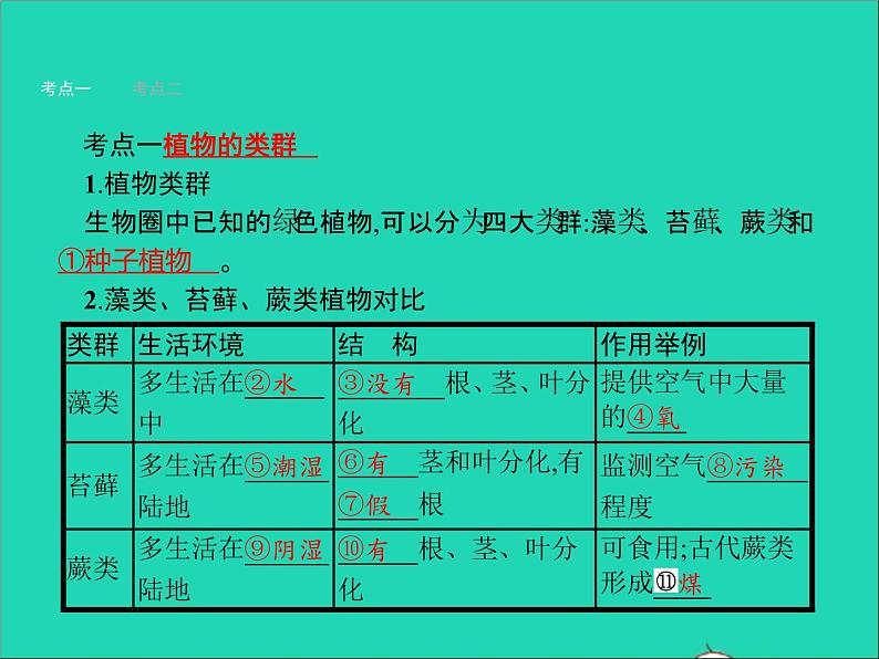 初中生物中考复习 中考生物总复习第五讲生物圈中有哪些绿色植物课件第3页