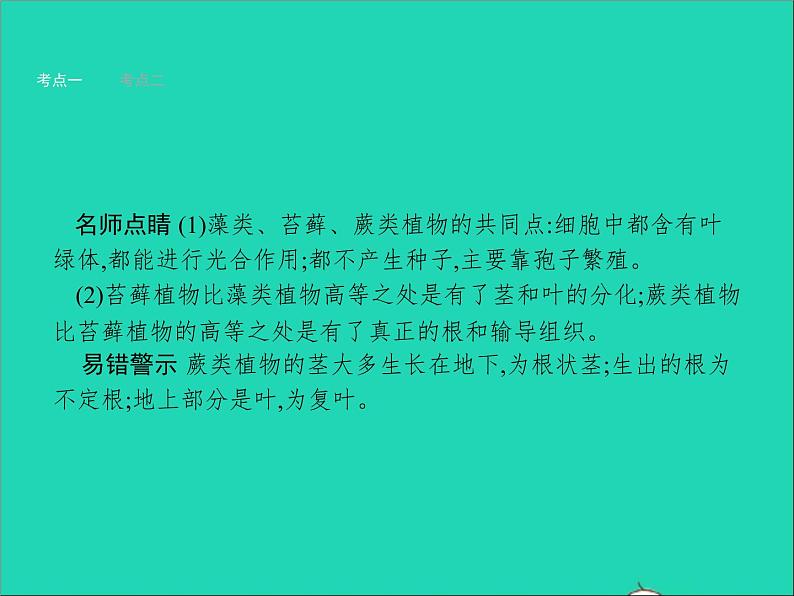 初中生物中考复习 中考生物总复习第五讲生物圈中有哪些绿色植物课件第4页