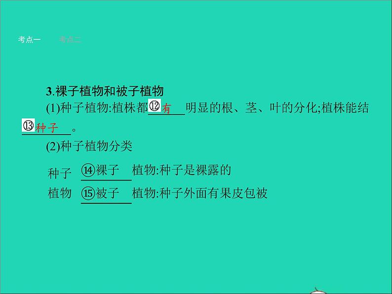 初中生物中考复习 中考生物总复习第五讲生物圈中有哪些绿色植物课件第5页