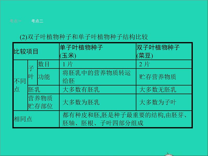 初中生物中考复习 中考生物总复习第五讲生物圈中有哪些绿色植物课件第8页