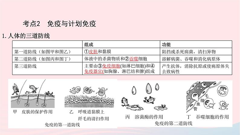 初中生物中考复习 中考生物总复习第一部分基醇点巩固第八单元降地生活第一二三章降地生活课件07