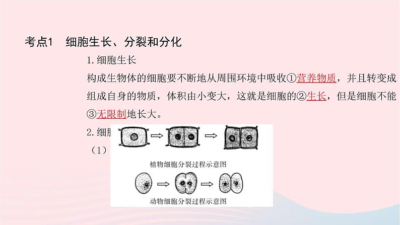 初中生物中考复习 中考生物总复习第一部分基醇点巩固第二单元生物体的结构层次第二章细胞怎样构成生物体课件03