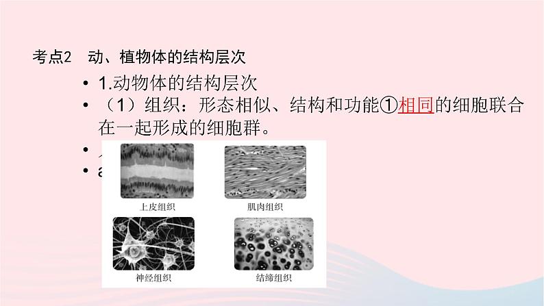 初中生物中考复习 中考生物总复习第一部分基醇点巩固第二单元生物体的结构层次第二章细胞怎样构成生物体课件07