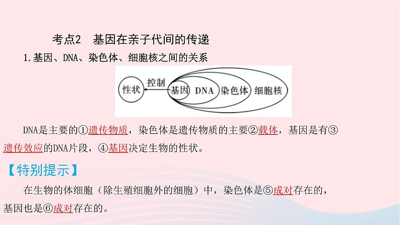 初中生物中考复习 中考生物总复习第一部分基醇点巩固第七单元生物圈中生命的延续和发展第二章生物的遗传与变异课件第5页