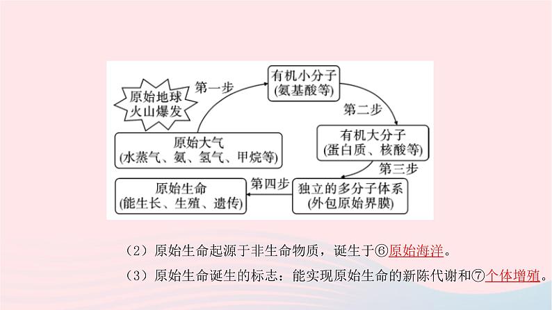 初中生物中考复习 中考生物总复习第一部分基醇点巩固第七单元生物圈中生命的延续和发展第三章生命起源和生物进化课件第4页