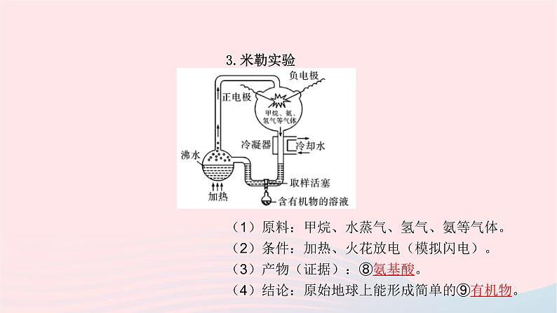 初中生物中考复习 中考生物总复习第一部分基醇点巩固第七单元生物圈中生命的延续和发展第三章生命起源和生物进化课件第5页