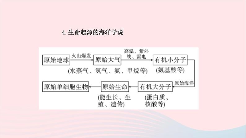 初中生物中考复习 中考生物总复习第一部分基醇点巩固第七单元生物圈中生命的延续和发展第三章生命起源和生物进化课件第6页