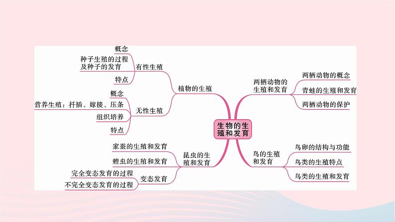 初中生物中考复习 中考生物总复习第一部分基醇点巩固第七单元生物圈中生命的延续和发展第一章生物的生殖和发育课课件PPT02