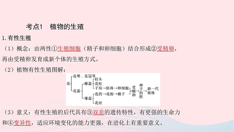 初中生物中考复习 中考生物总复习第一部分基醇点巩固第七单元生物圈中生命的延续和发展第一章生物的生殖和发育课课件PPT03