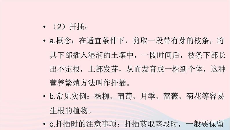 初中生物中考复习 中考生物总复习第一部分基醇点巩固第七单元生物圈中生命的延续和发展第一章生物的生殖和发育课课件PPT06