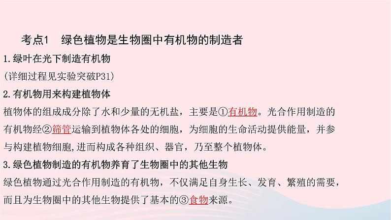 初中生物中考复习 中考生物总复习第一部分基醇点巩固第三单元生物圈中的绿色植物第4_6章课件03