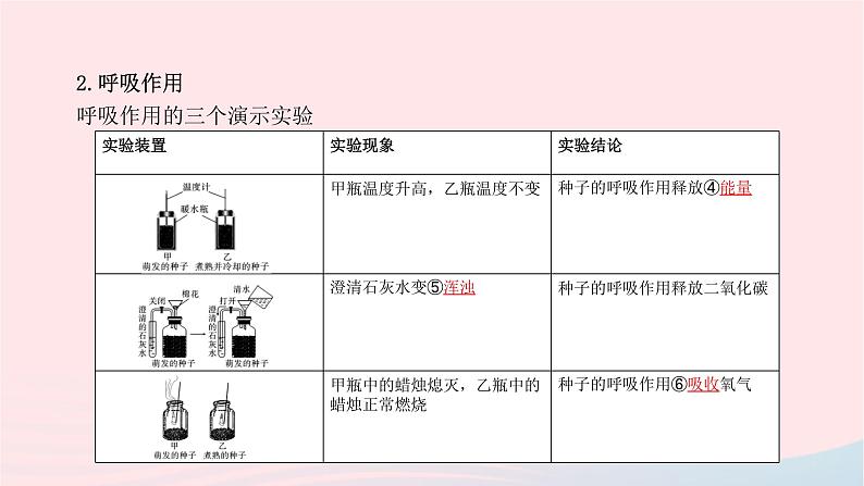 初中生物中考复习 中考生物总复习第一部分基醇点巩固第三单元生物圈中的绿色植物第4_6章课件05