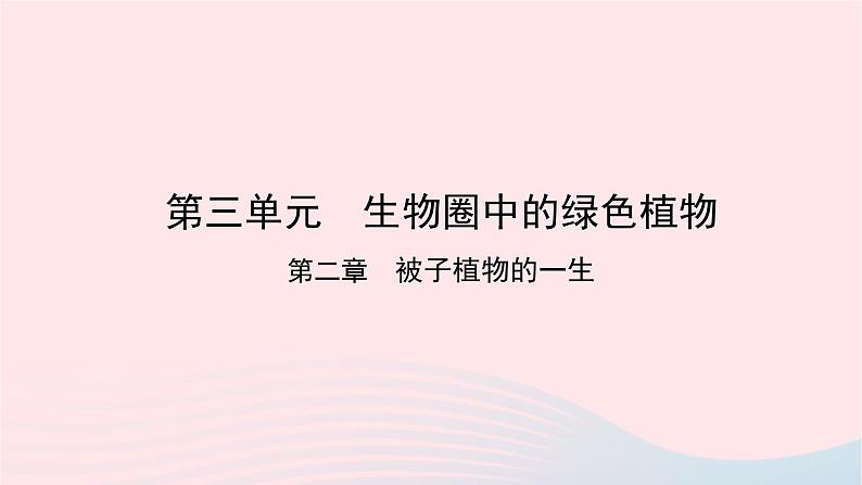 初中生物中考复习 中考生物总复习第一部分基醇点巩固第三单元生物圈中的绿色植物第二章被子植物的一生课件第1页