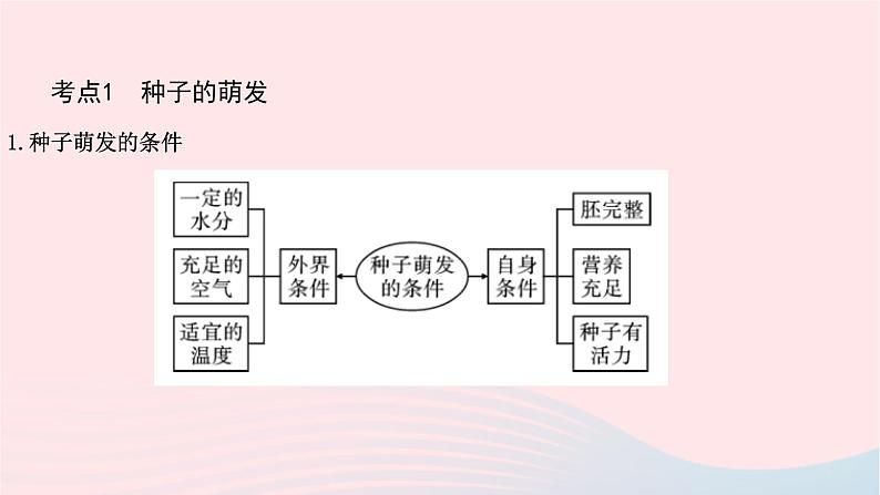 初中生物中考复习 中考生物总复习第一部分基醇点巩固第三单元生物圈中的绿色植物第二章被子植物的一生课件第3页