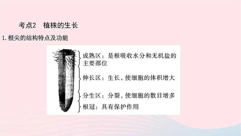 初中生物中考复习 中考生物总复习第一部分基醇点巩固第三单元生物圈中的绿色植物第二章被子植物的一生课件第7页