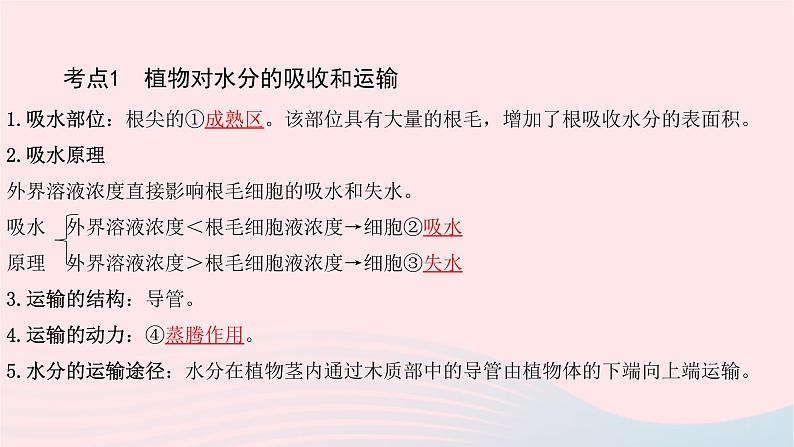 初中生物中考复习 中考生物总复习第一部分基醇点巩固第三单元生物圈中的绿色植物第三章绿色植物与生物圈的水循环课件第3页