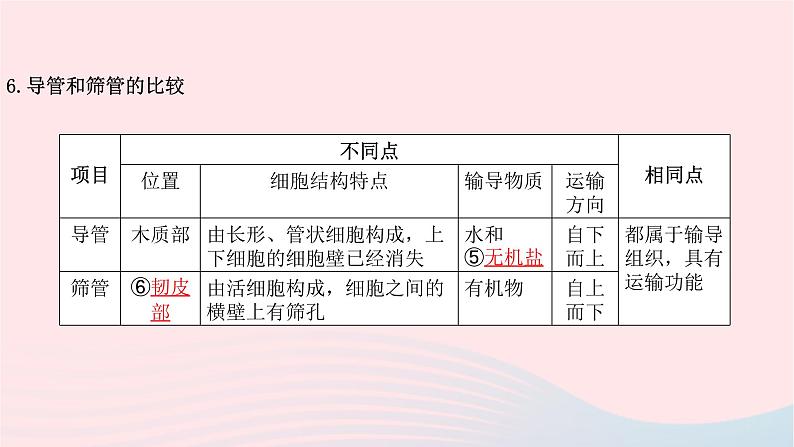 初中生物中考复习 中考生物总复习第一部分基醇点巩固第三单元生物圈中的绿色植物第三章绿色植物与生物圈的水循环课件第4页