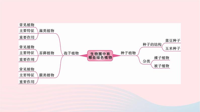 初中生物中考复习 中考生物总复习第一部分基醇点巩固第三单元生物圈中的绿色植物第一章生物圈中有哪些绿色植物课件02