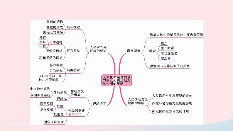 初中生物中考复习 中考生物总复习第一部分基醇点巩固第四单元生物圈中的人第六章第七章人体生命活动的调节及人类活动对生物圈的影响课课件PPT02