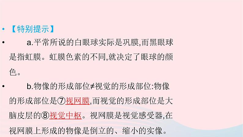 初中生物中考复习 中考生物总复习第一部分基醇点巩固第四单元生物圈中的人第六章第七章人体生命活动的调节及人类活动对生物圈的影响课课件PPT05