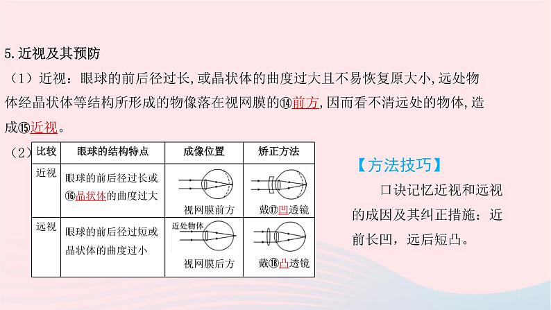 初中生物中考复习 中考生物总复习第一部分基醇点巩固第四单元生物圈中的人第六章第七章人体生命活动的调节及人类活动对生物圈的影响课课件PPT08