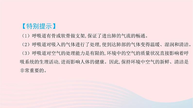 初中生物中考复习 中考生物总复习第一部分基醇点巩固第四单元生物圈中的人第三章人体的呼吸课件05