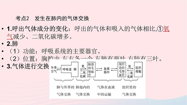 初中生物中考复习 中考生物总复习第一部分基醇点巩固第四单元生物圈中的人第三章人体的呼吸课件06