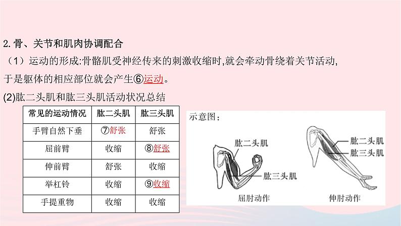 初中生物中考复习 中考生物总复习第一部分基醇点巩固第五单元生物圈中的其他生物第二三章动物的运动和行为及动物在生物圈中的作用课件第6页