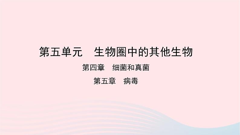 初中生物中考复习 中考生物总复习第一部分基醇点巩固第五单元生物圈中的其他生物第四五章细菌真菌以及簿课件第1页