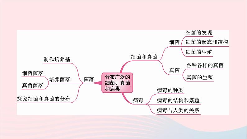 初中生物中考复习 中考生物总复习第一部分基醇点巩固第五单元生物圈中的其他生物第四五章细菌真菌以及簿课件第2页