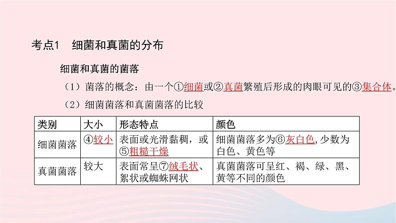 初中生物中考复习 中考生物总复习第一部分基醇点巩固第五单元生物圈中的其他生物第四五章细菌真菌以及簿课件第3页