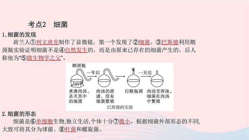 初中生物中考复习 中考生物总复习第一部分基醇点巩固第五单元生物圈中的其他生物第四五章细菌真菌以及簿课件第5页