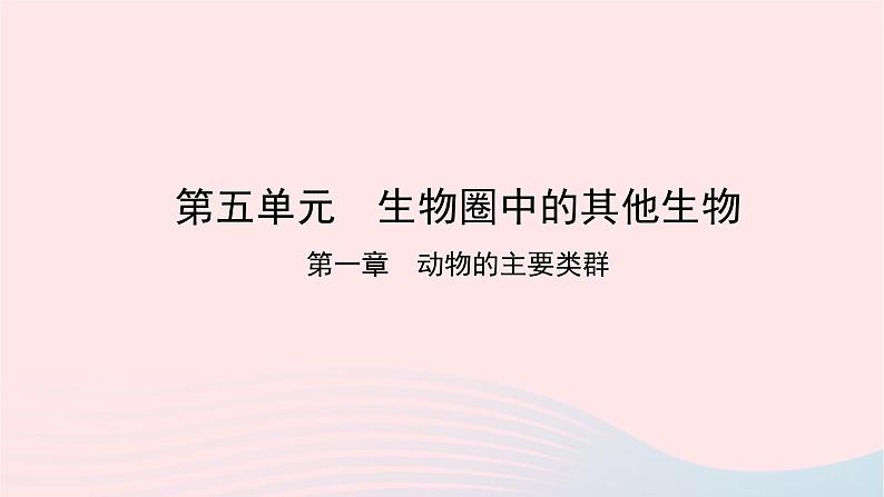 初中生物中考复习 中考生物总复习第一部分基醇点巩固第五单元生物圈中的其他生物第一章动物的主要类群课件第1页