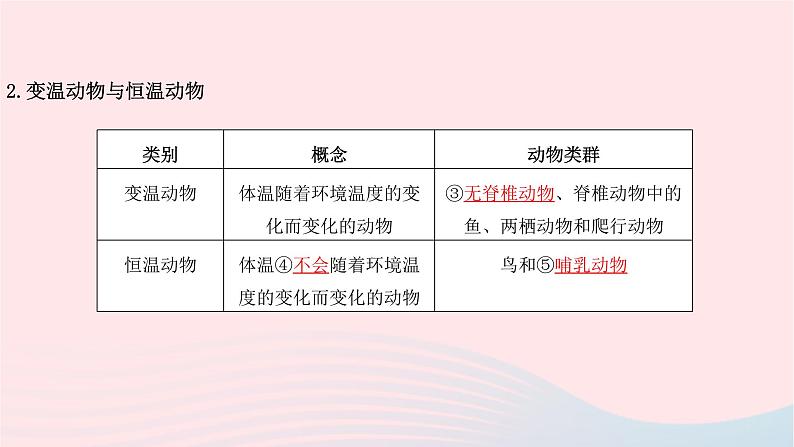 初中生物中考复习 中考生物总复习第一部分基醇点巩固第五单元生物圈中的其他生物第一章动物的主要类群课件第4页