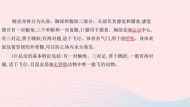 初中生物中考复习 中考生物总复习第一部分基醇点巩固第五单元生物圈中的其他生物第一章动物的主要类群课件第8页