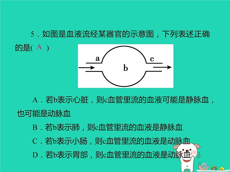 初中生物中考复习 中考生物总复习仿真测试卷三测试范围：生物圈中的人课件第5页