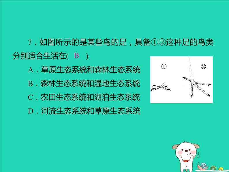 初中生物中考复习 中考生物总复习仿真测试卷五测试范围：生物的多样性课件第7页