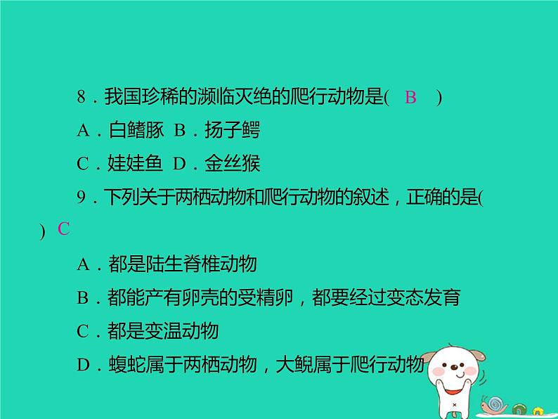 初中生物中考复习 中考生物总复习仿真测试卷五测试范围：生物的多样性课件第8页