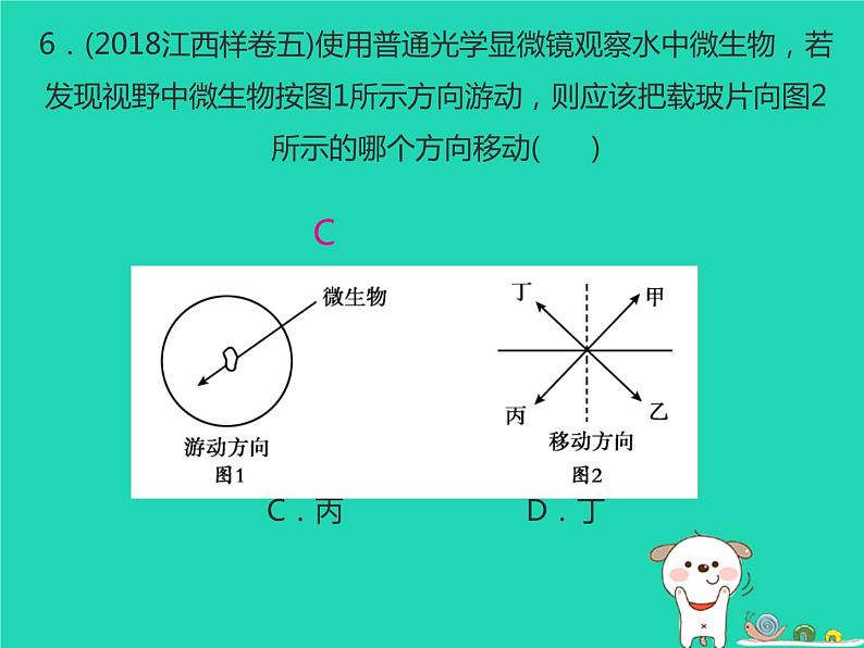 初中生物中考复习 中考生物总复习仿真测试卷一测试范围：科学探究生物体的结构层次课件第6页