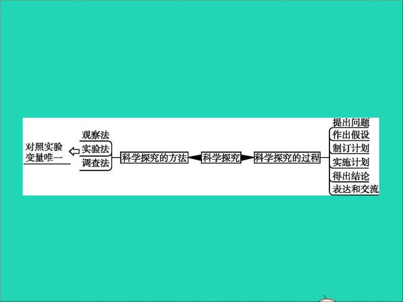 初中生物中考复习 中考生物总复习专题十科学探究课件02