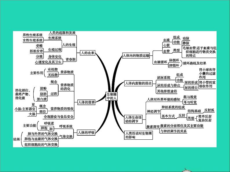 初中生物中考复习 中考生物总复习专题四生物圈中的人课件第2页