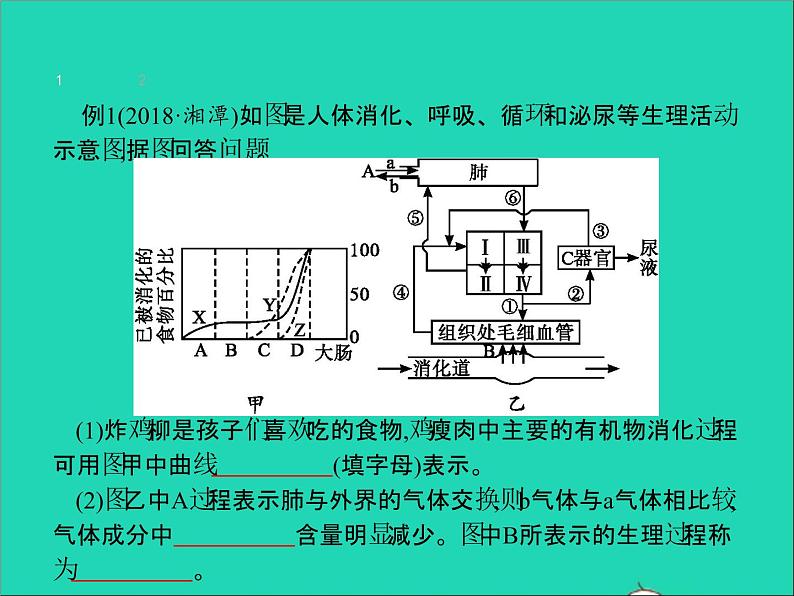 初中生物中考复习 中考生物总复习专题四生物圈中的人课件第4页