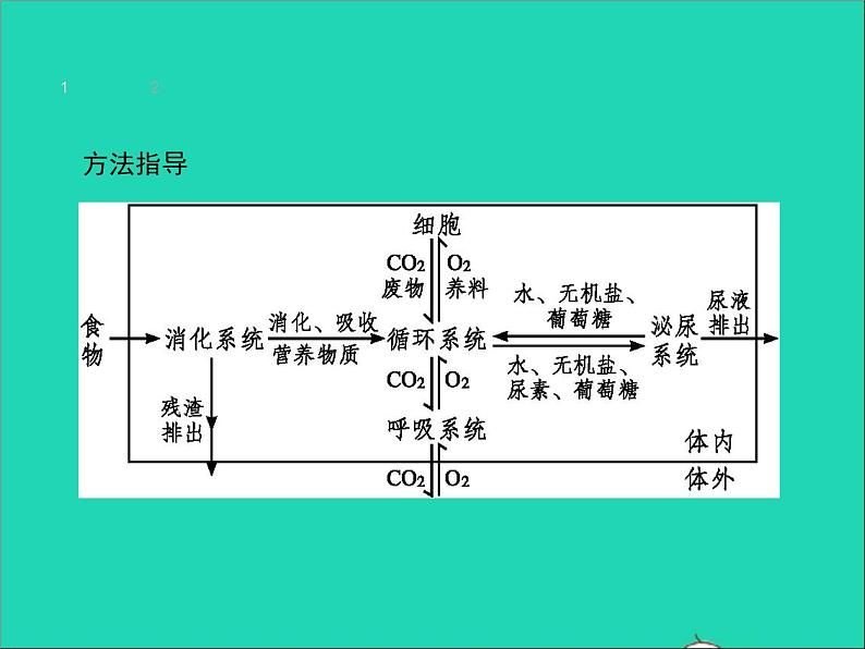 初中生物中考复习 中考生物总复习专题四生物圈中的人课件第7页