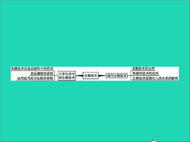 初中生物中考复习 中考生物总复习专题九生物技术课件第2页