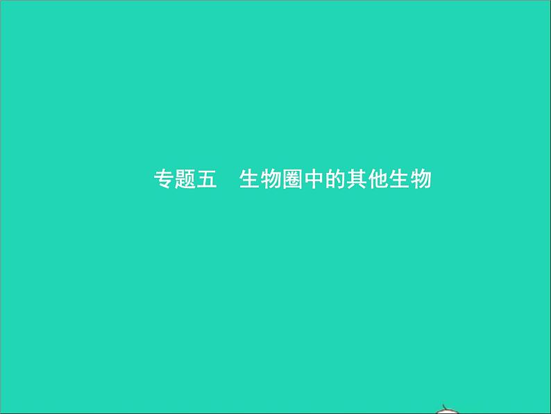 初中生物中考复习 中考生物总复习专题五生物圈中的其他生物课件第1页