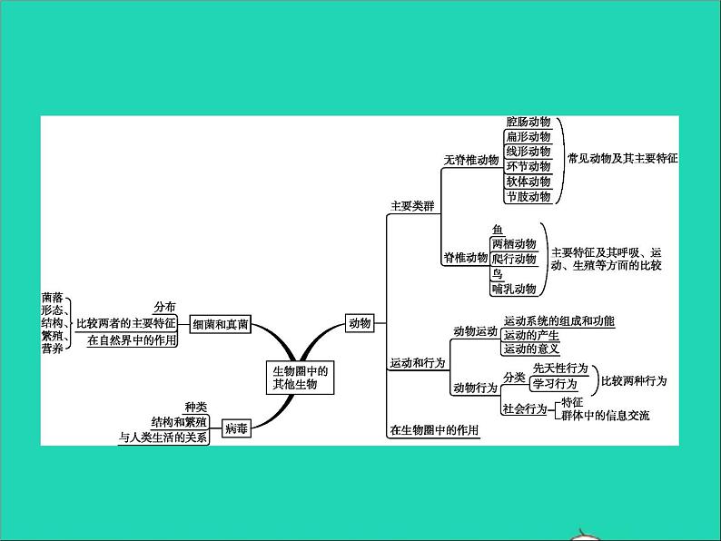 初中生物中考复习 中考生物总复习专题五生物圈中的其他生物课件第2页