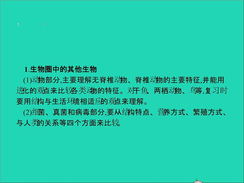 初中生物中考复习 中考生物总复习专题五生物圈中的其他生物课件第3页