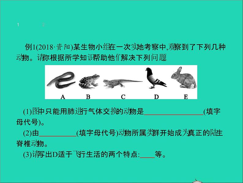 初中生物中考复习 中考生物总复习专题五生物圈中的其他生物课件第4页